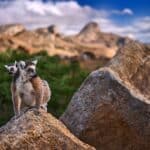 Madagascar : tout ce qu'il faut savoir avant de voyager vers ce pays