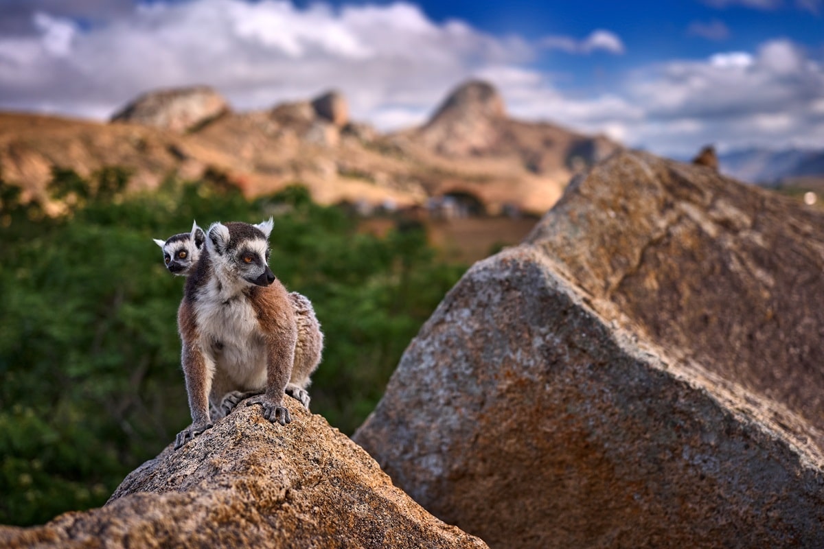 Madagascar : tout ce qu'il faut savoir avant de voyager vers ce pays