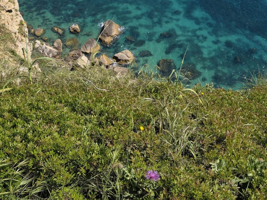 mer et nature