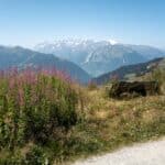 le verbier en été