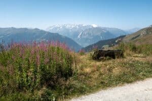 le verbier en été