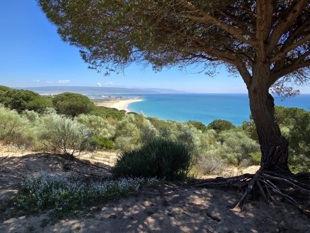 vue sur la mer depuis le sentier del Acantilado