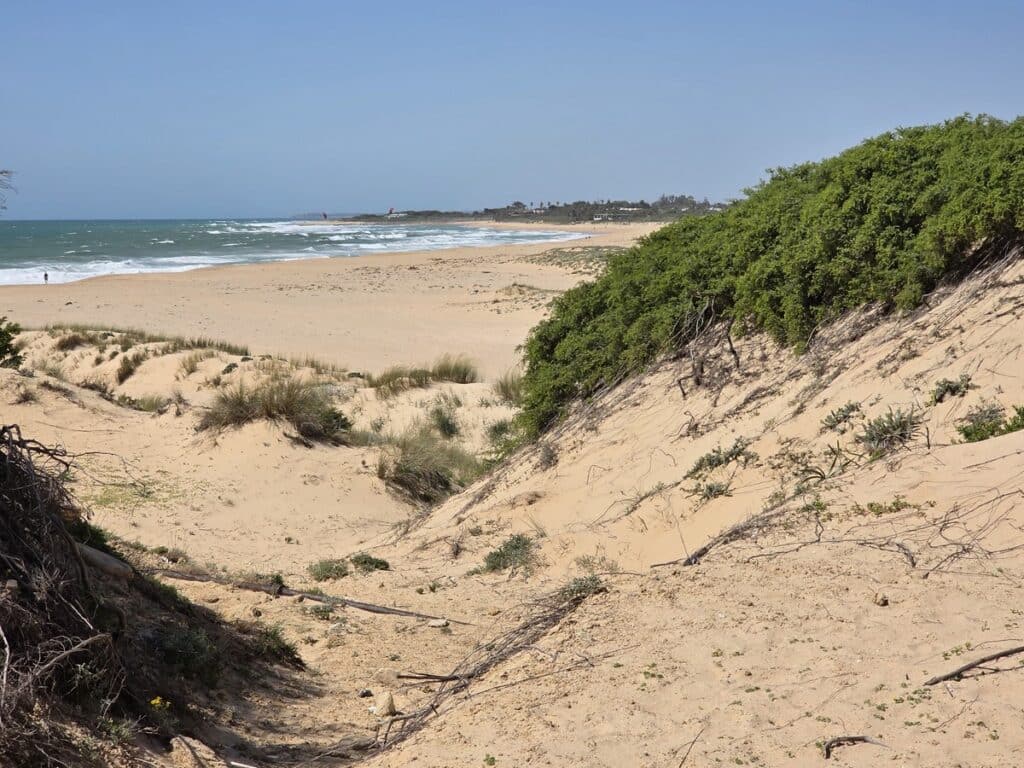 cap de trafalgar guide de visite