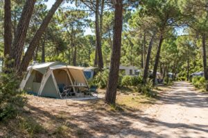 Camping sous les pins de Vendée