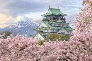 cerisiers en fleur au japon à Osaka