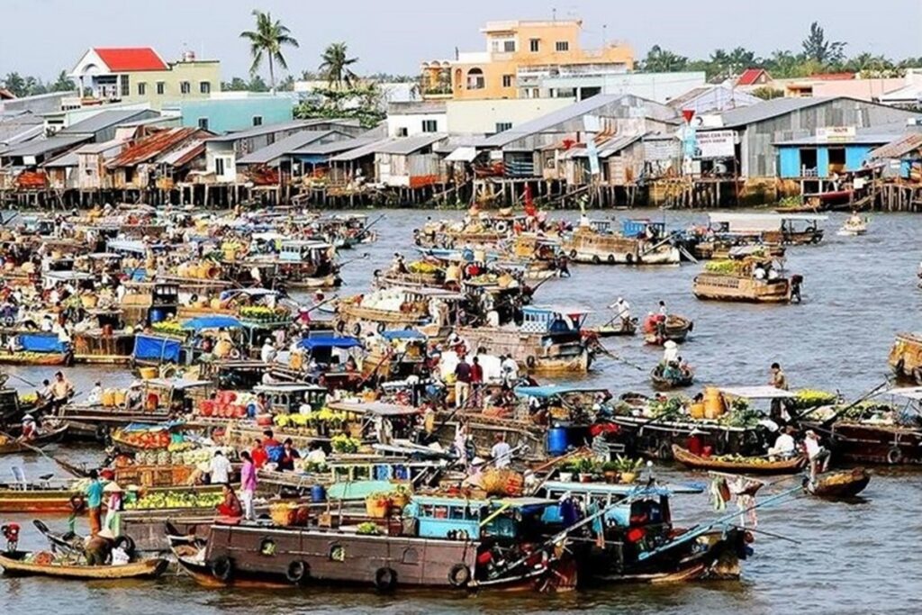 cho noi cai rang