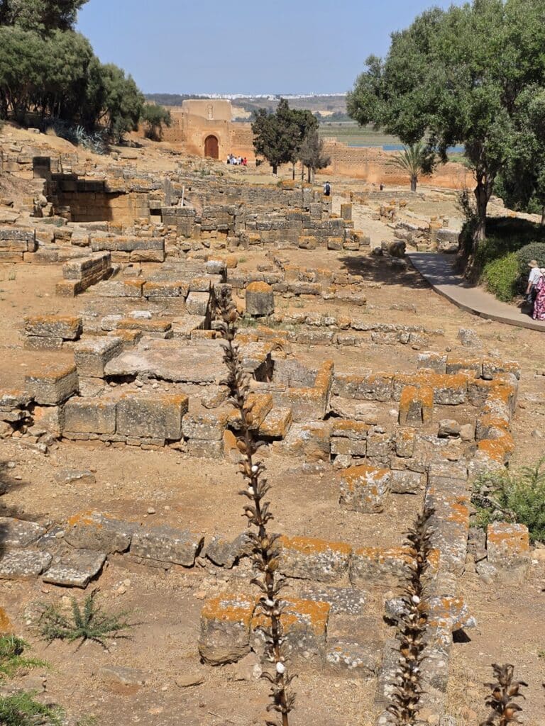 ruines de Chellah