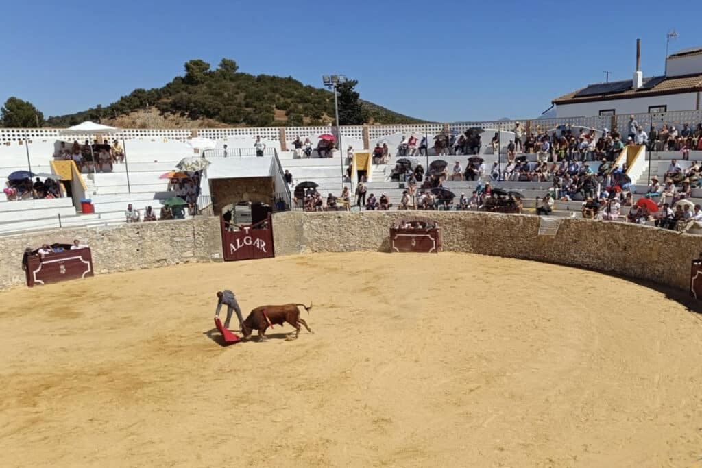 Algar plaza de toros