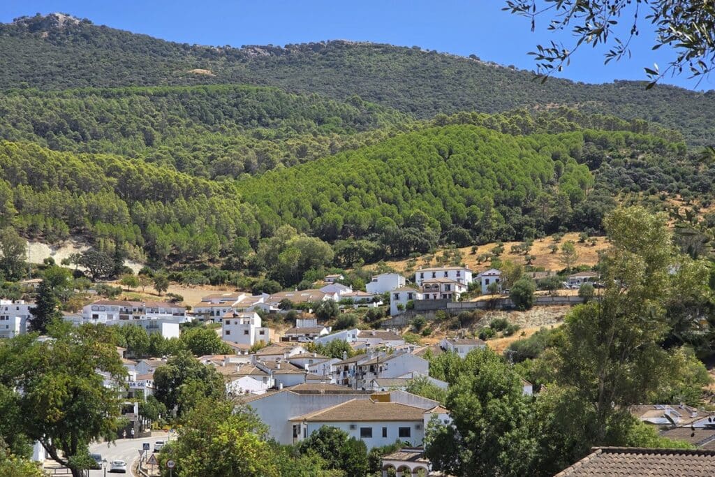 maisons et montagnes à El Bosque