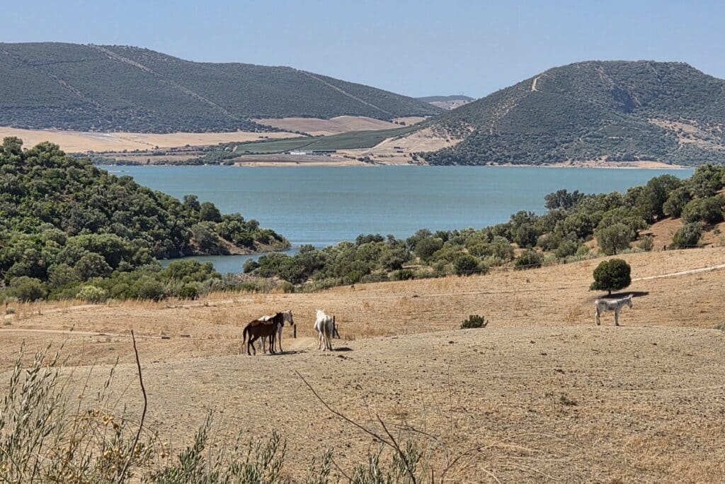 Tajo del Águila
