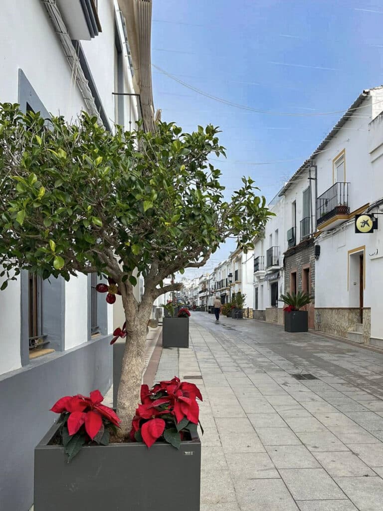 calle Real à Algar