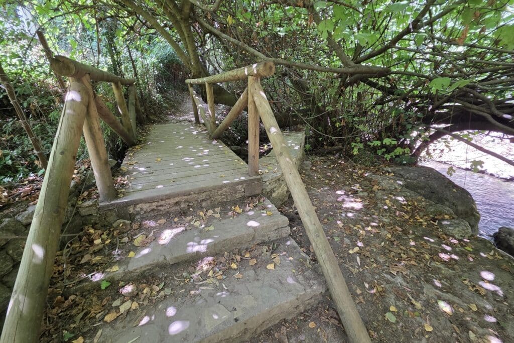 passerelle en bois