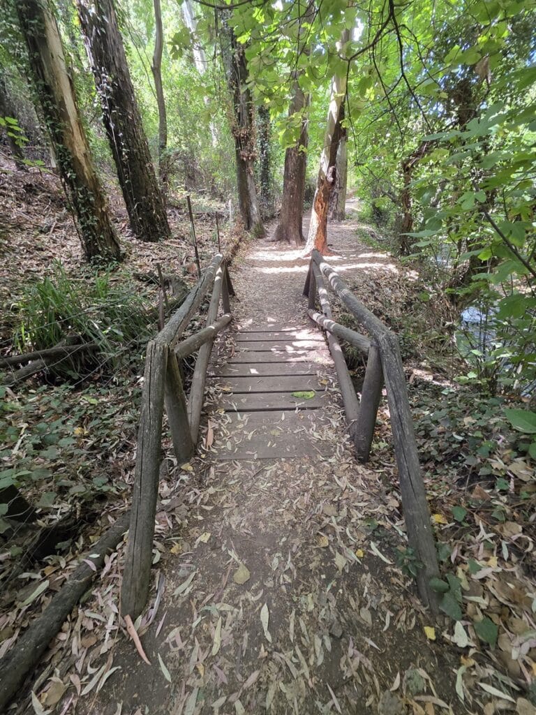 passerelle en bois