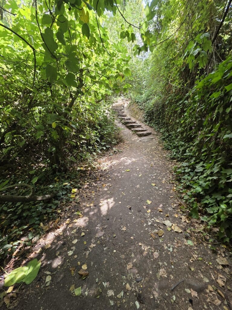 sentier de terre