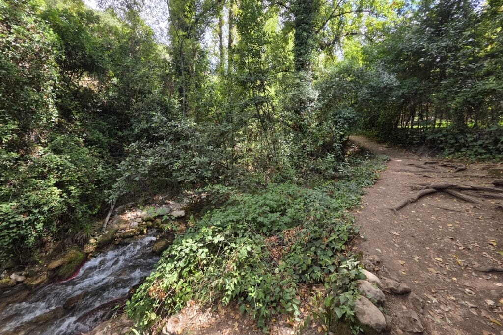 sendero Rio Majaceite