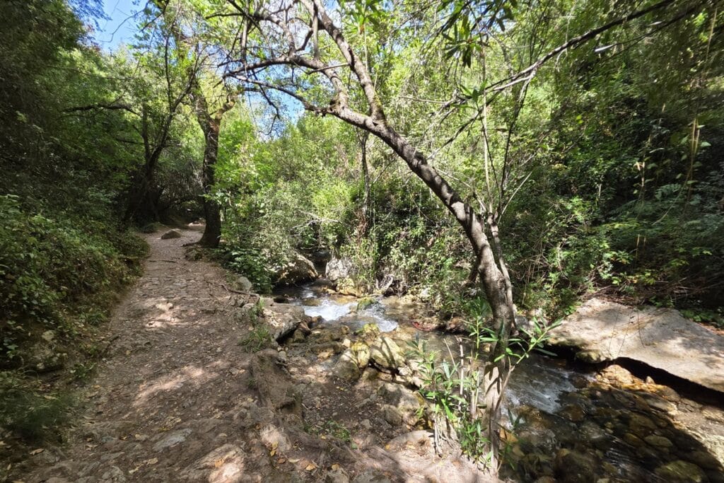 sentier au bord de la rivière rio majaceite