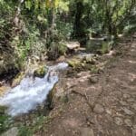 petite cascade au sentier Rio Majaceite