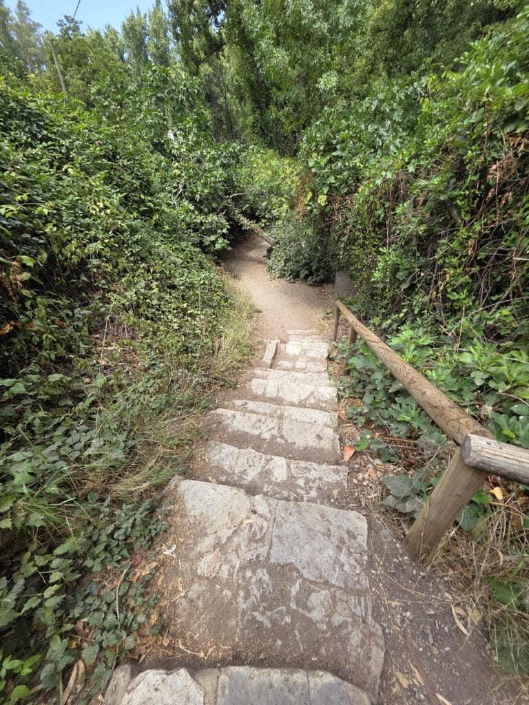 sendero Rio Majaceite