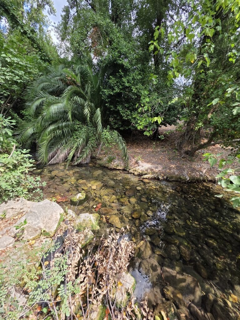 bel environnement près de la rivière Rio Majaceite
