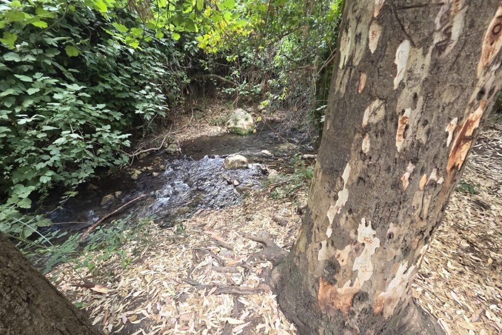 rivière majaceite
