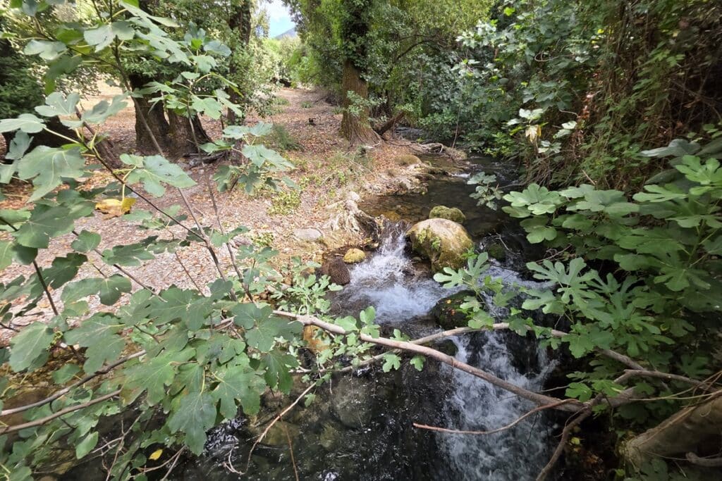 sentier Rio Majaceite et rivière